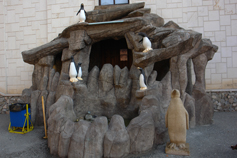 Сочи. Лазаревское. Выставка пингвинов у замка Сент-Лазар